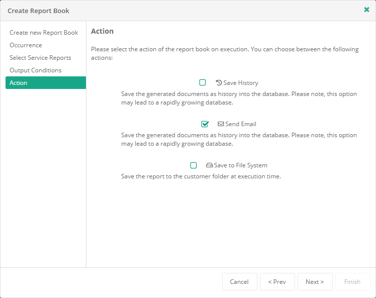 Create Report Book wizard - Action